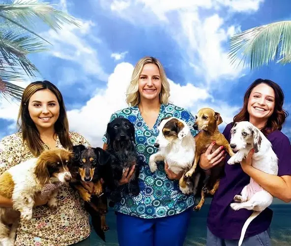 Pet boarding service Town & Country Vet Hospital and Pleasanton Pet Hotel Coleen Dossey DVM Livermore