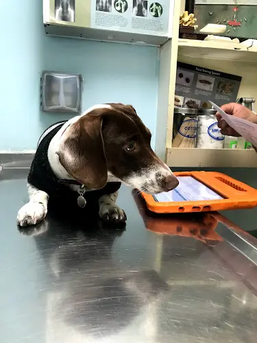 Dog day care center Animal Care Clinic Norwalk