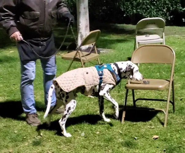 Dog trainer Hidden Valley Obedience Club Vista