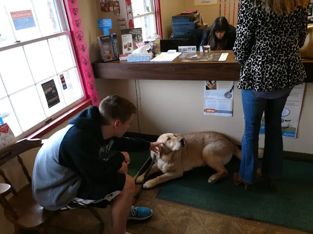 Pet vet Green River Veterinary Hospital Kent