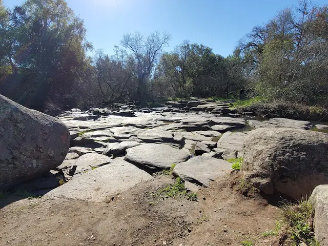 Dog Park Flat Rock Park Santa Rosa