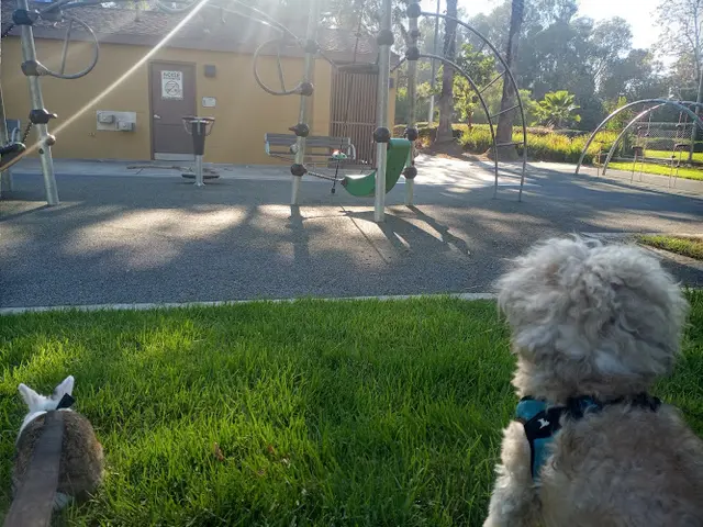 Dog Park Ladera Park Inglewood