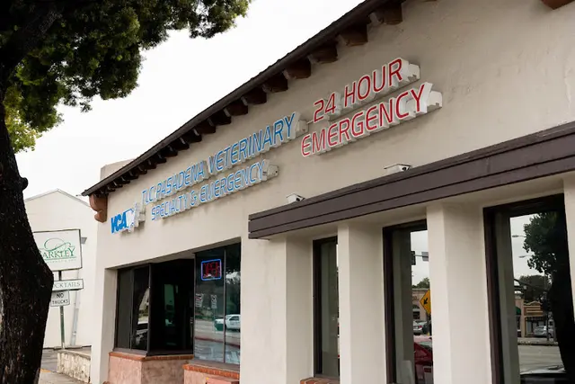 Pet vet VCA TLC Pasadena Veterinary Specialty and Emergency Pasadena