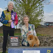 Dog breeder Pampered Pooch Breeding & Grooming Federal Way