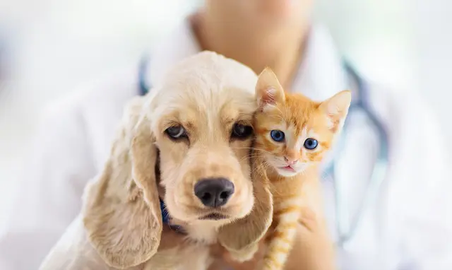 Pet vet Quartz Hill Veterinary Clinic Lancaster
