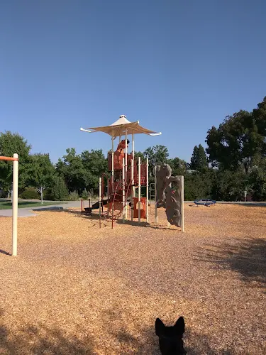 Dog Park Baroni Park Chico