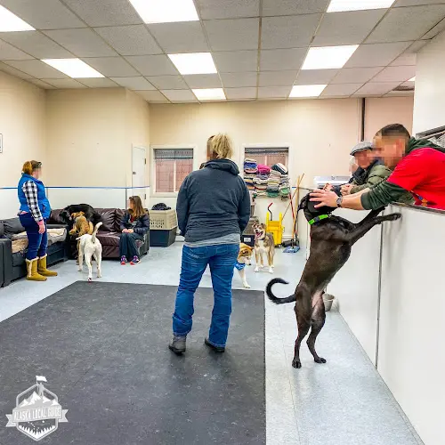 Dog breeder The Hound Lounge Anchorage