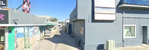 Rescue & Shelter Cat Shelter Costa Mesa