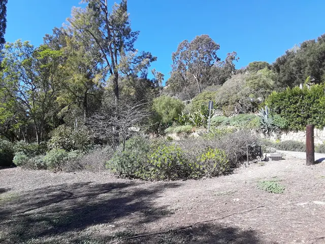 Dog Park Sylvan Park Santa Barbara