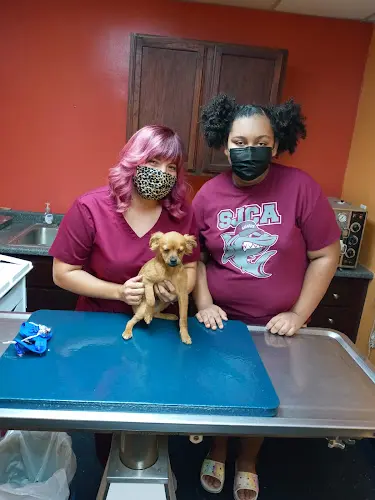 Pet vet Vine Animal Clinic West Covina