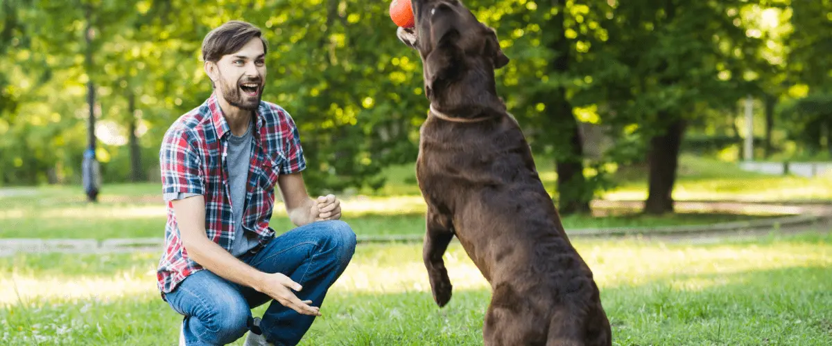 Dog parks near Carson
