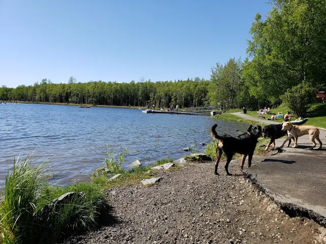 Dog Park DeLong Lake Park Anchorage