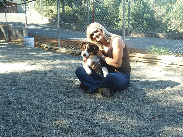 Pet boarding service Bridewell Hilltop Boarding Kennels & Cattery San Francisco