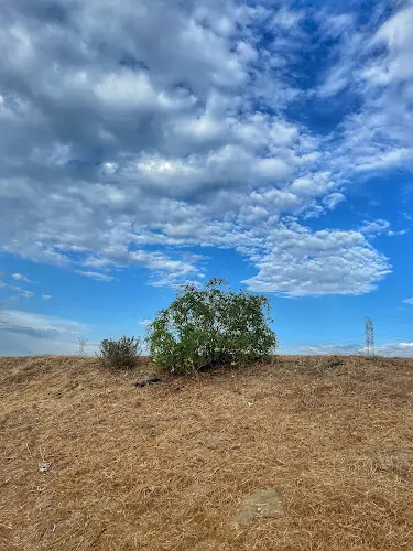 Dog Park Rio Hondo River Trail Downey