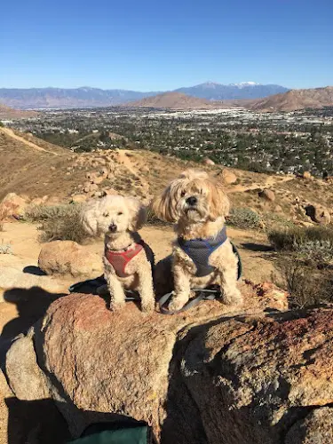 Dog Park Mount Rubidoux Trailhead Jurupa Valley