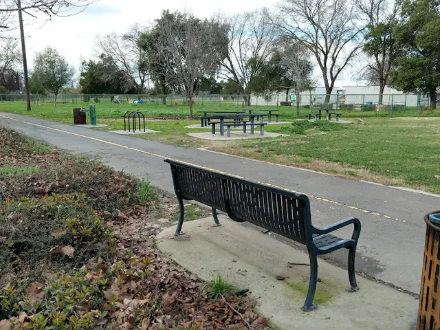 Dog Park John Strauch Park Sacramento