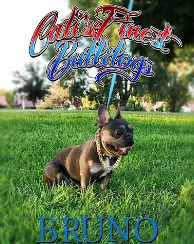 Pet vet Inland Vet Supply Jurupa Valley