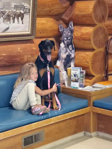 Pet vet Summitview Cowiche Veterinary Clinic Yakima