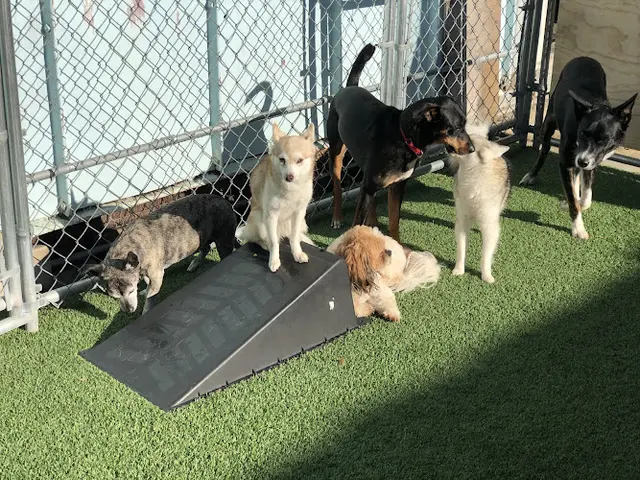 Dog day care center Park-A-Pup Kennels Santa Clara
