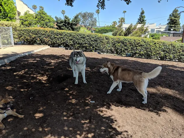 Dog walker Joslyn Park Santa Monica