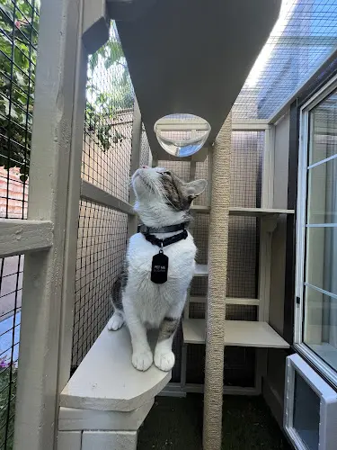 Pet boarding service Petzones 2 Santa Ana