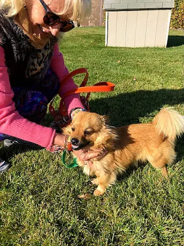 Dog walker Yakima Humane Society Yakima