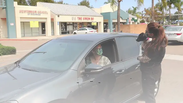 Dog day care center Temple Heights Animal Hospital Oceanside