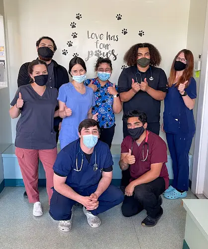 Dog breeder 4 paws pet hospital Bakersfield