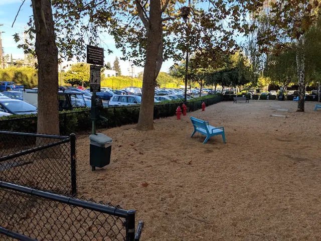 Dog Park Doogleplex - Google Employee Dog Park Sunnyvale