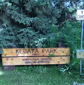 Dog Park Kedaya Park Anchorage