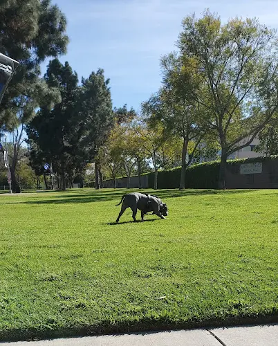 Dog Park Rosie the Riveter Park Carson