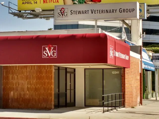 Pet vet Stewart Veterinary Group Santa Monica