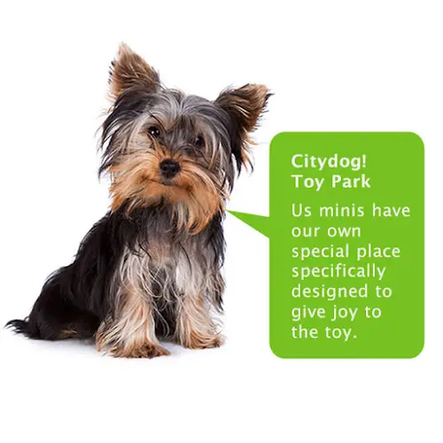 Dog breeder Citydog! Club Federal Way