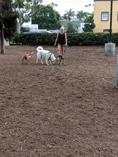 Dog Park Pacific Street Park Santa Monica