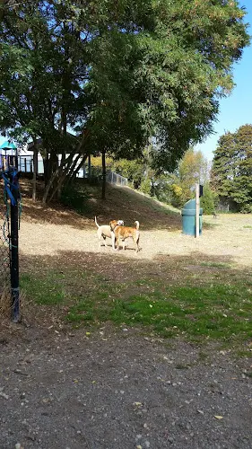 Dog Park Rogers Park Dog Park Tacoma
