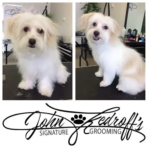 Dog Grooming John Kedroff’s Signature Dog Grooming San Marcos