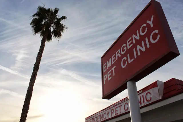 Pet boarding service Orange County Emergency Pet Clinic Fullerton