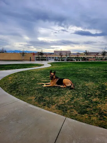 Dog Park Highgate dog park Bakersfield