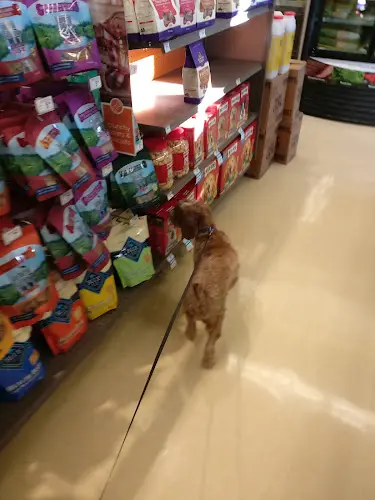 Pet vet Petco San Francisco