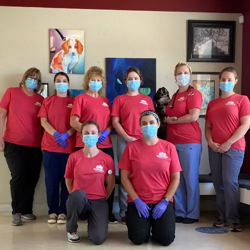 Pet vet VCA Devotion Animal Hospital Santa Rosa