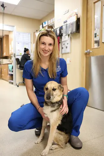 Pet vet BluePearl Pet Hospital Kent
