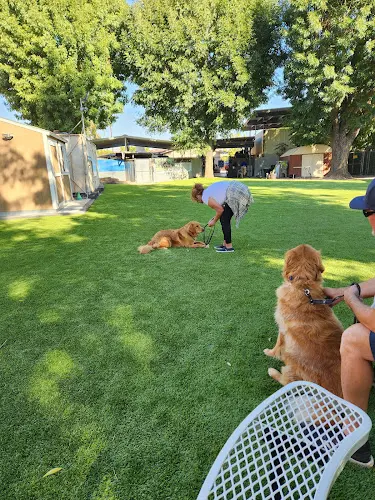 Dog day care center It's A Dog's World K-9 Academy, Inc. San Bernardino