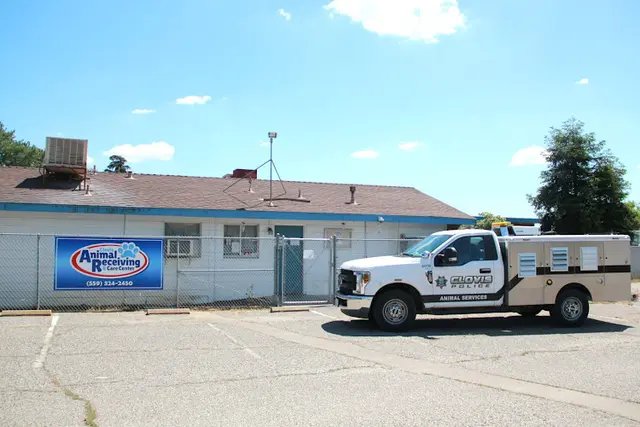 Rescue & Shelter Clovis Animal Receiving & Care Center Fresno