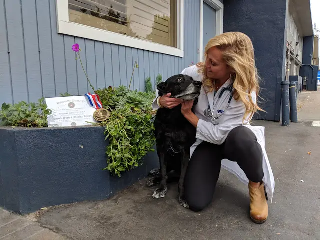 Pet vet VCA Bayshore Animal Hospital San Mateo