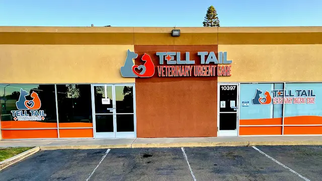 Pet vet Tell Tail Veterinary Urgent Care San Diego