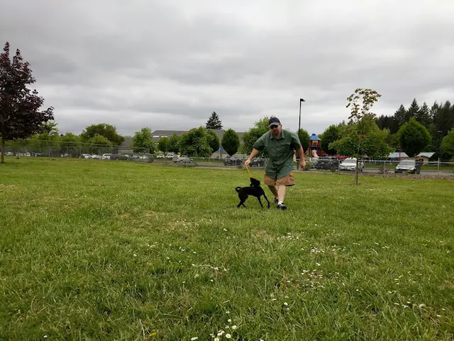 Dog Park Jack B Lively Memorial Park Eugene