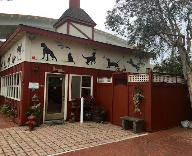Pet boarding service Companion Pet Care Carlsbad