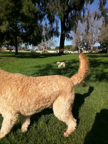 Dog Park Irby Park Huntington Beach