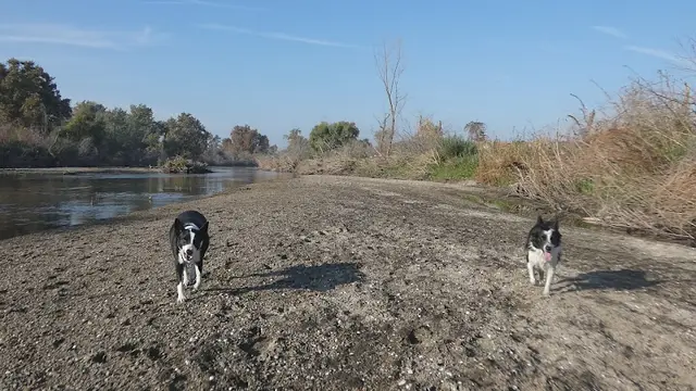 Dog Park Panorama Vista Preserve Bakersfield