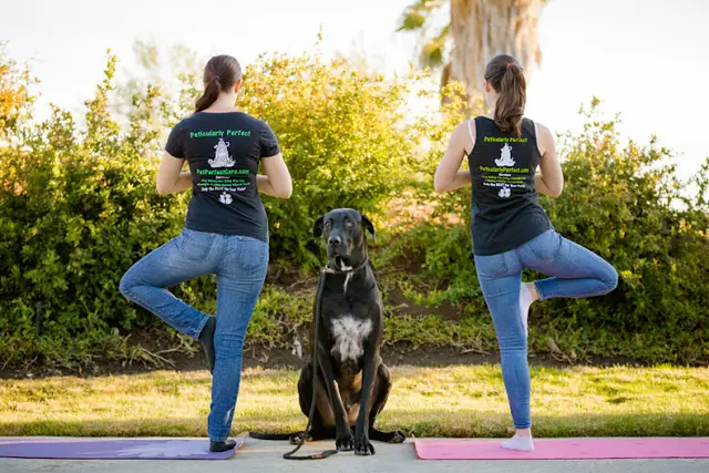 Dog trainer Peticularly Perfect Escondido